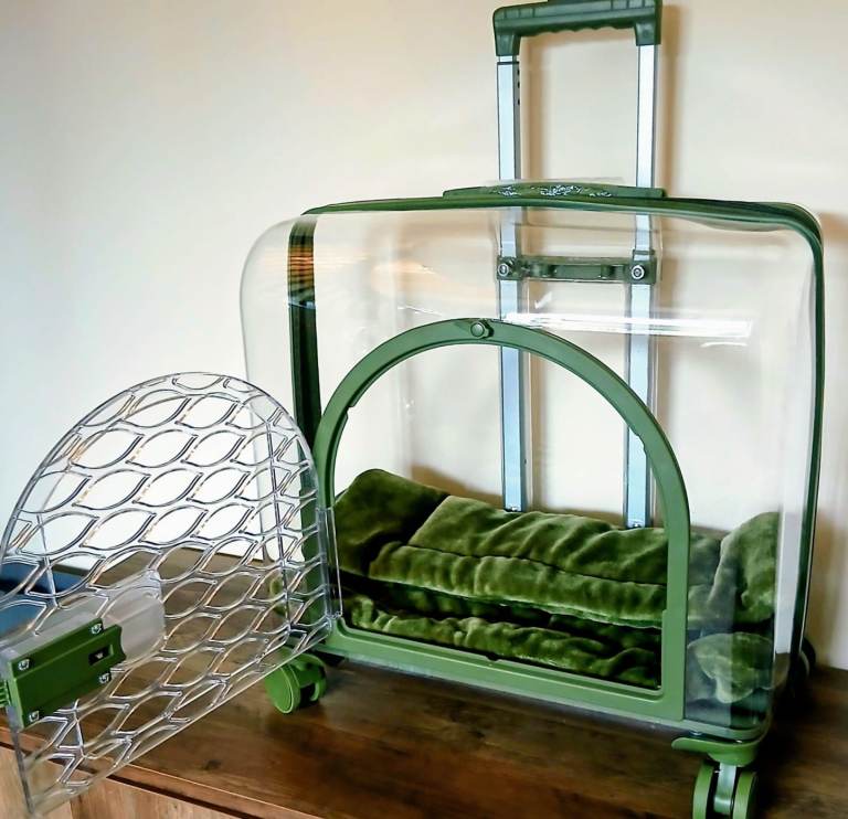 Pet carrier on wheels