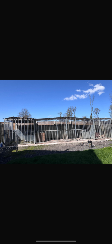 Dog Kennels 