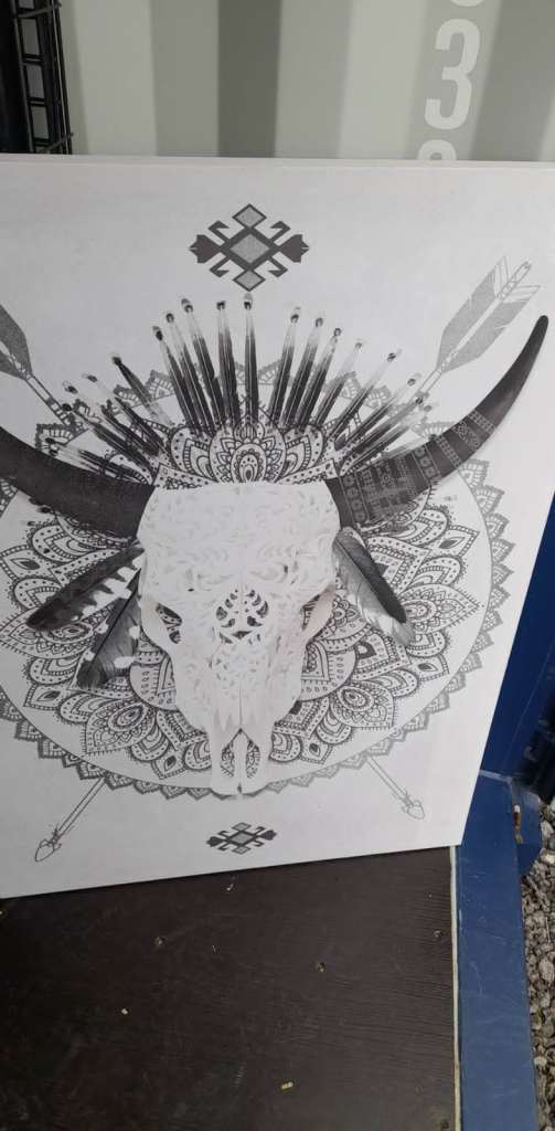 PICTURE FRAME - wall hanging , Indian Buffalo skull , free local delivery 