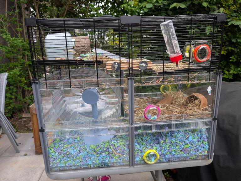 Hamster Starter Kit!