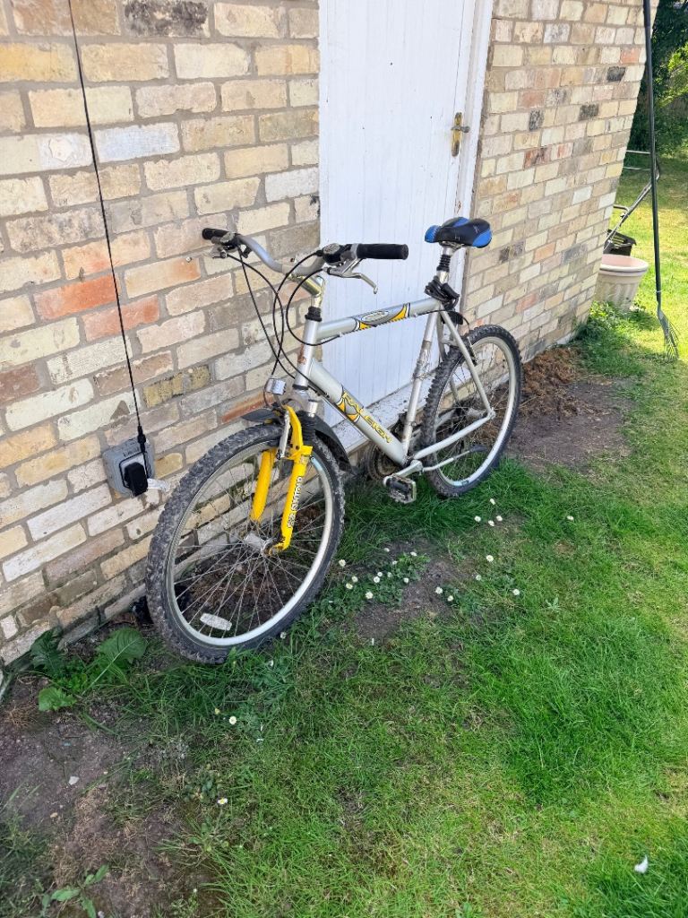Raleigh Aero MAX bike 
