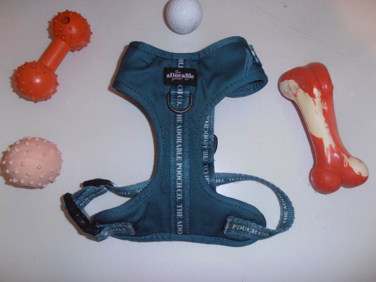 Dog Harness XS & Toys