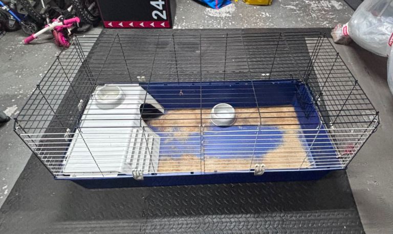 Guineapig cage 