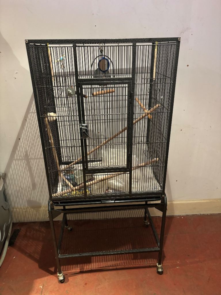 Large bird cage & accessories 