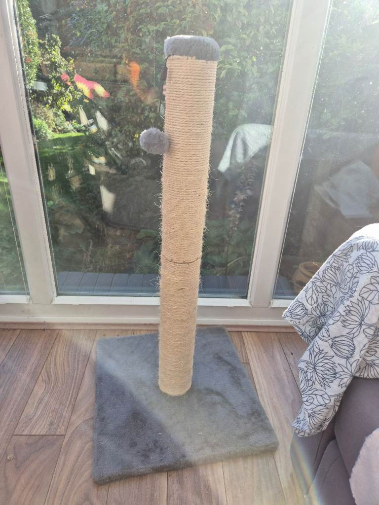 Cat scratch post 
