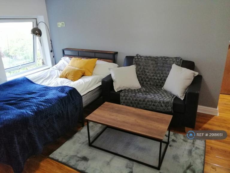 Studio flat in Birch Polygon, Manchester, M14 (#2918651)