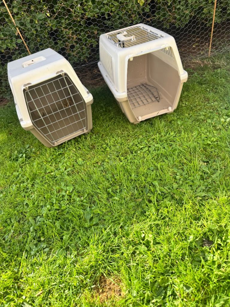 Pet carrier 