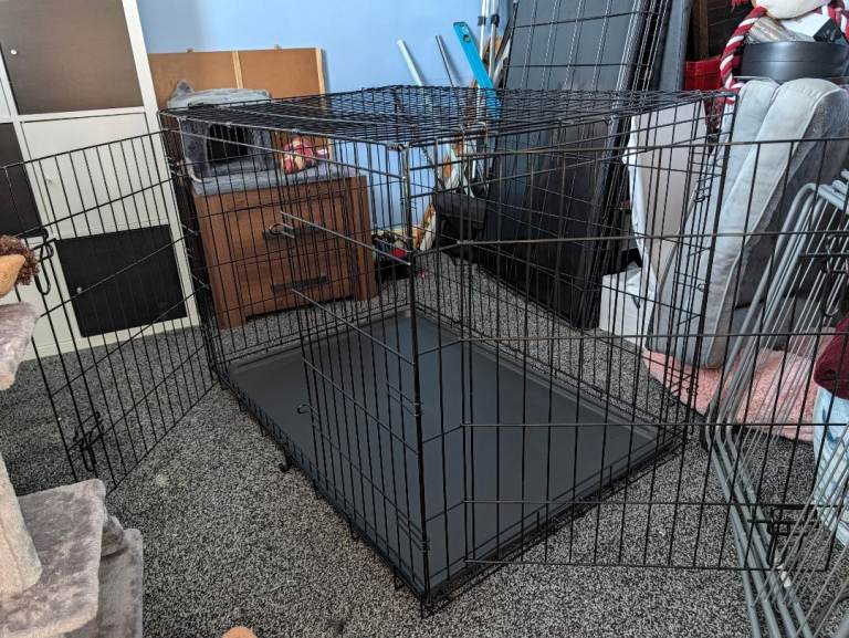 Large dog crate 