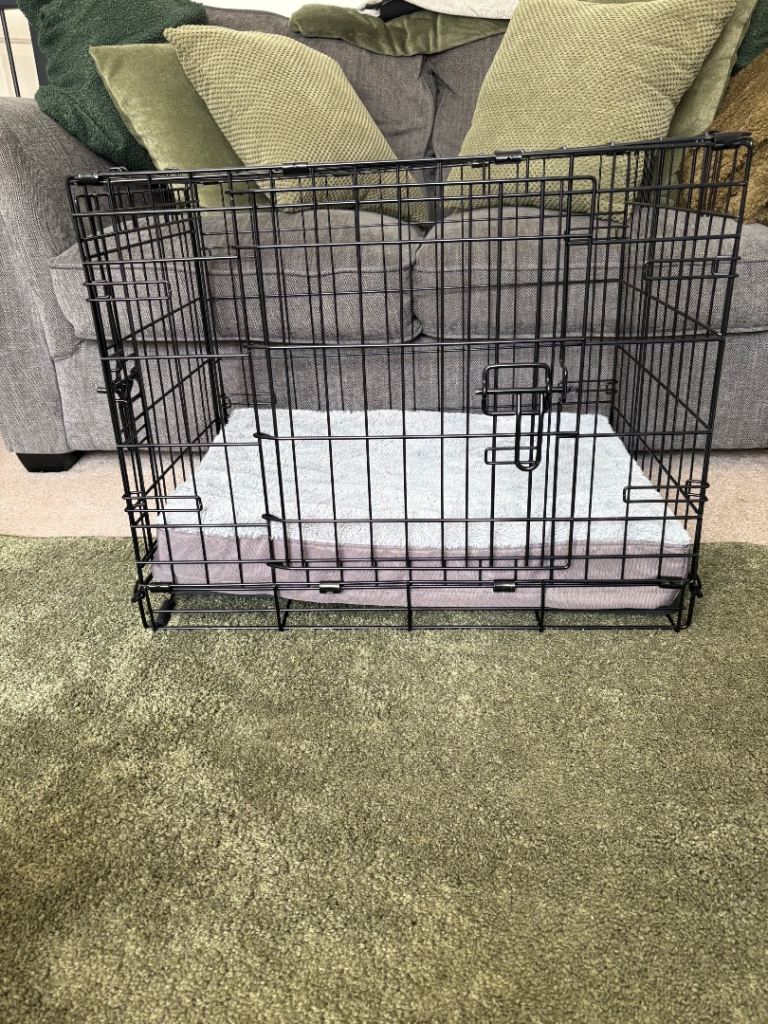 Dog crate with mattress 