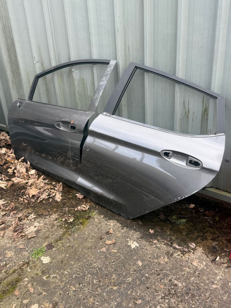 Ford Fiesta Doors