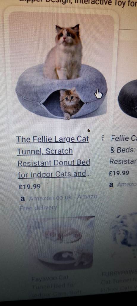Large cat tunnel.