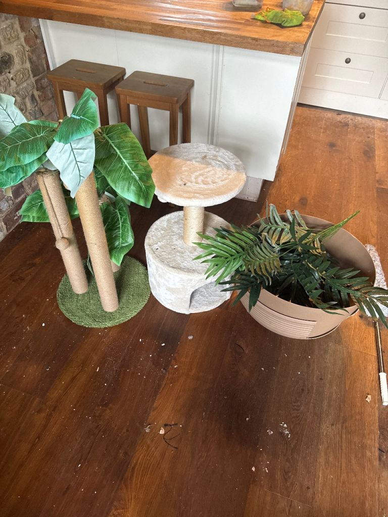 Cat scratch post and enclosed litter try