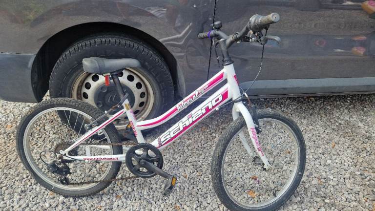 Girls Schiano 'Integral' Mountain Bike - 20" Wheels