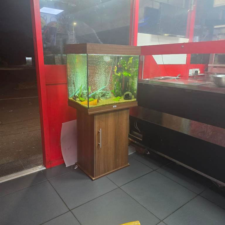 Complete fish tank setup