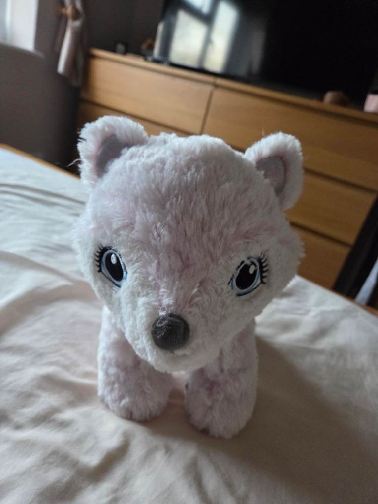 Build a bear teddy 