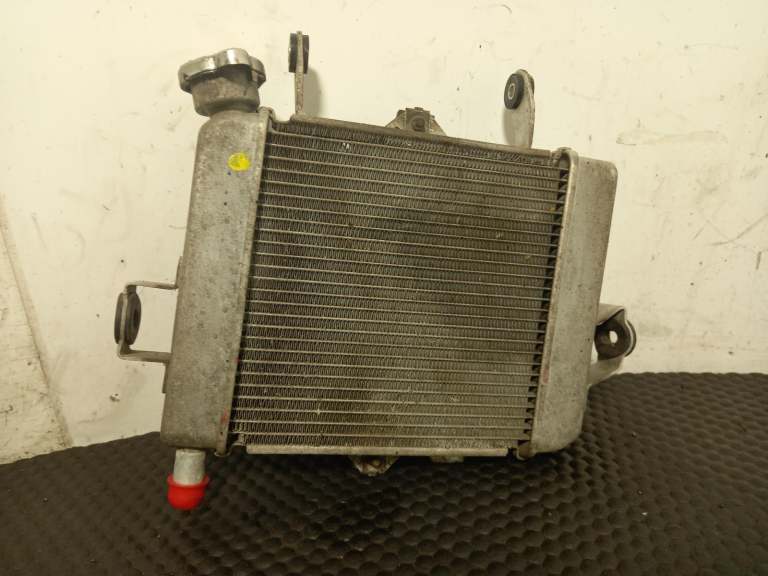 Suzuki Gsxr 125 Radiator 2017-2021 0.1l 1771023k00