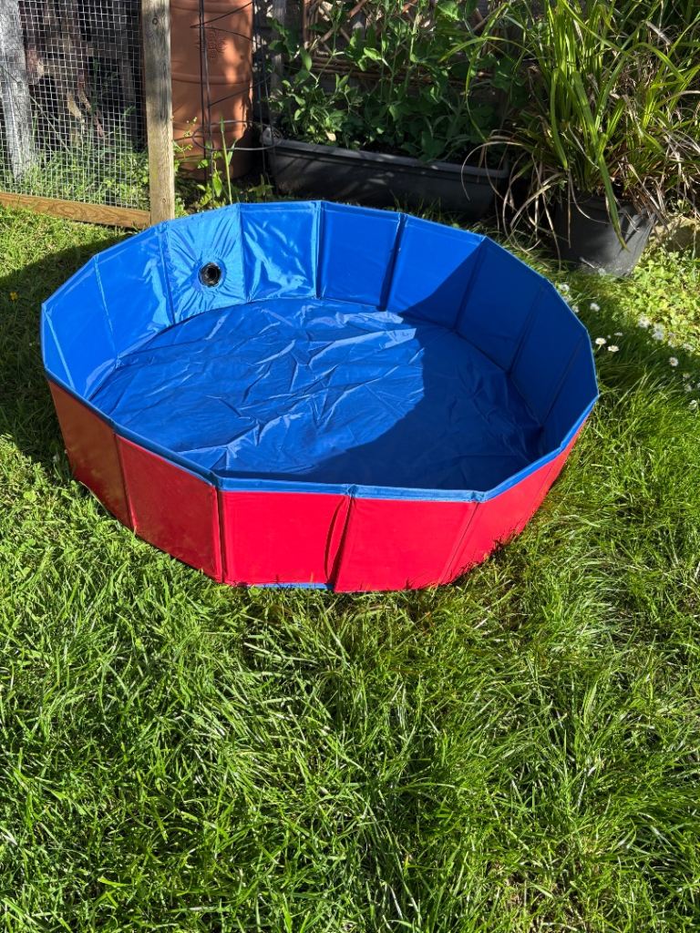 Small pet paddling pool