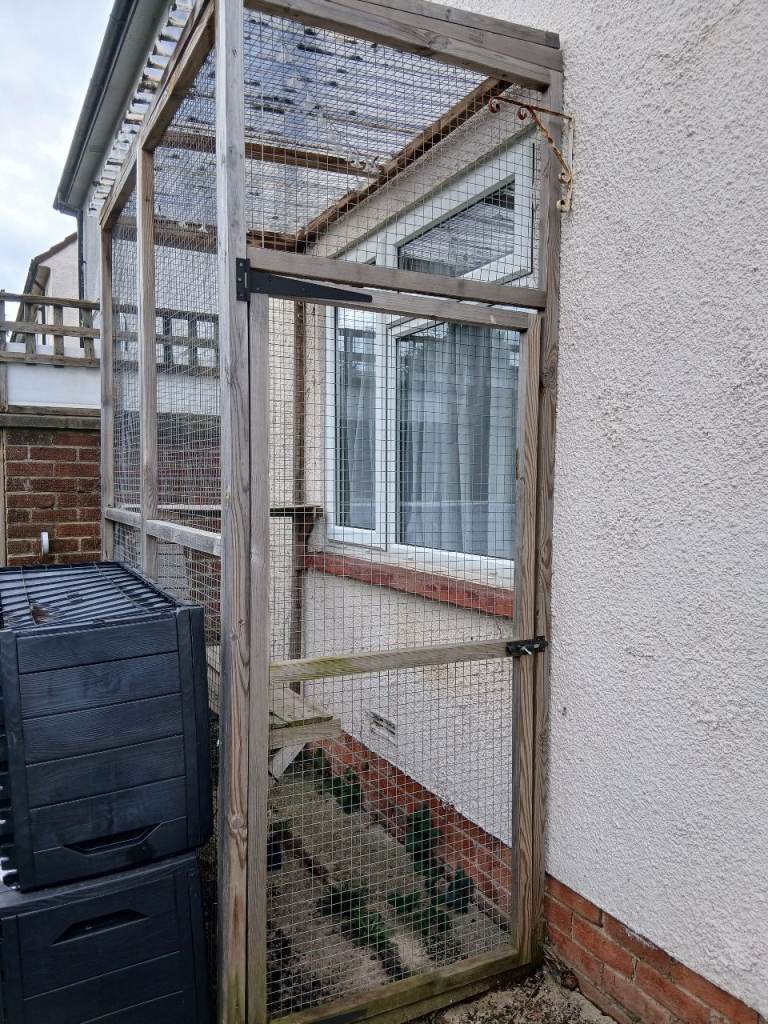 Free Catio