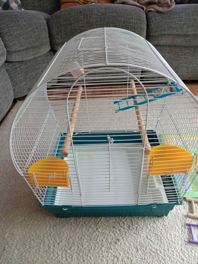 Budgie cage