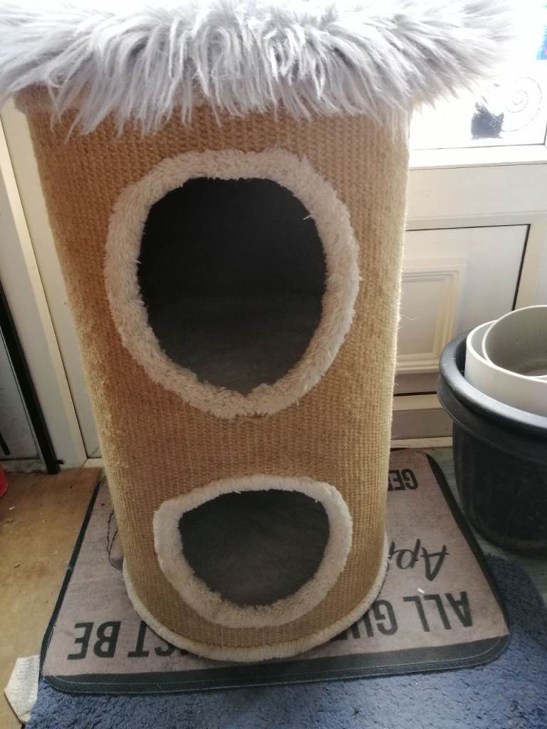 Cat scratching barrel.