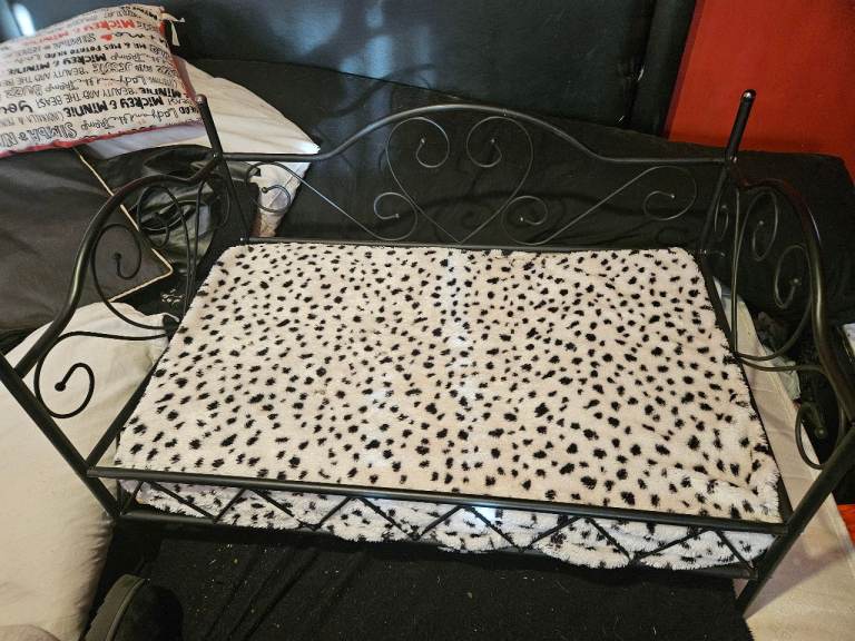 Metal bed for cat or small dog