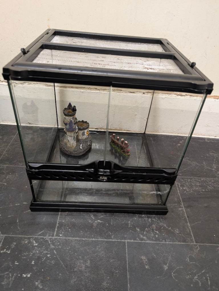 Exo Terra Glass Terrarium and accessories.