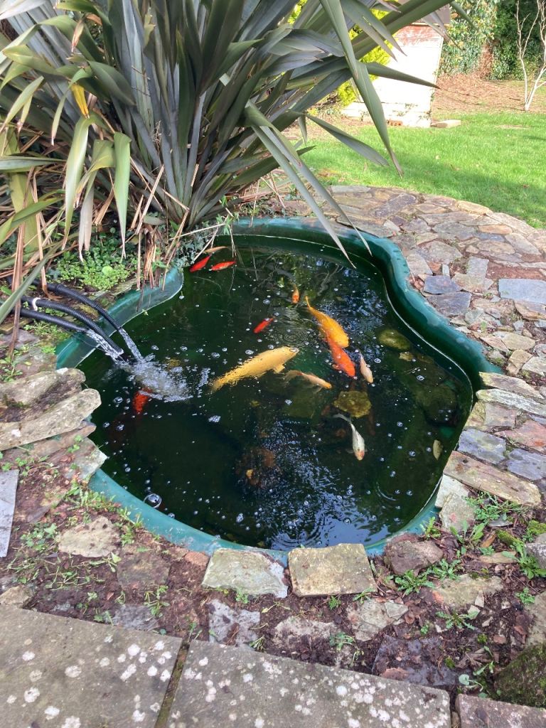 Pond 