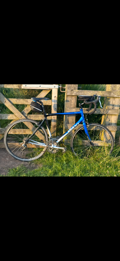 Giant road bike size large