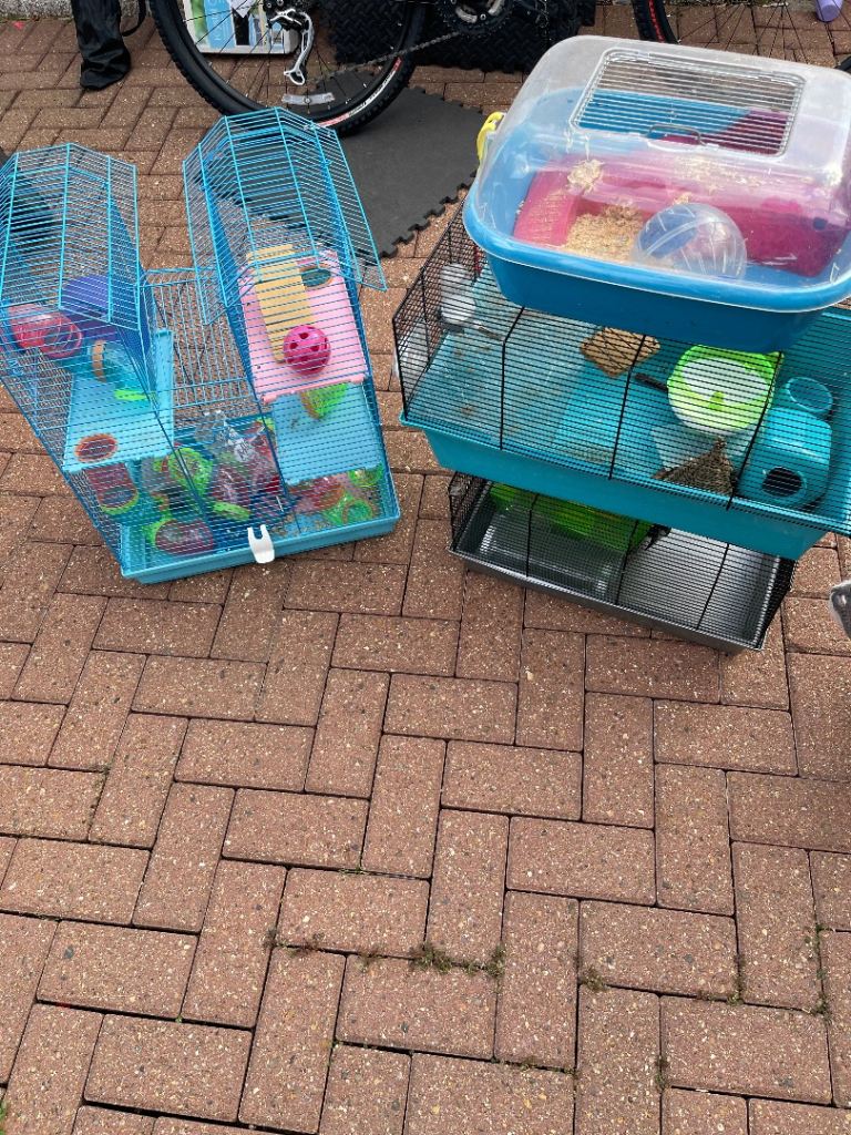 Hamster cages 