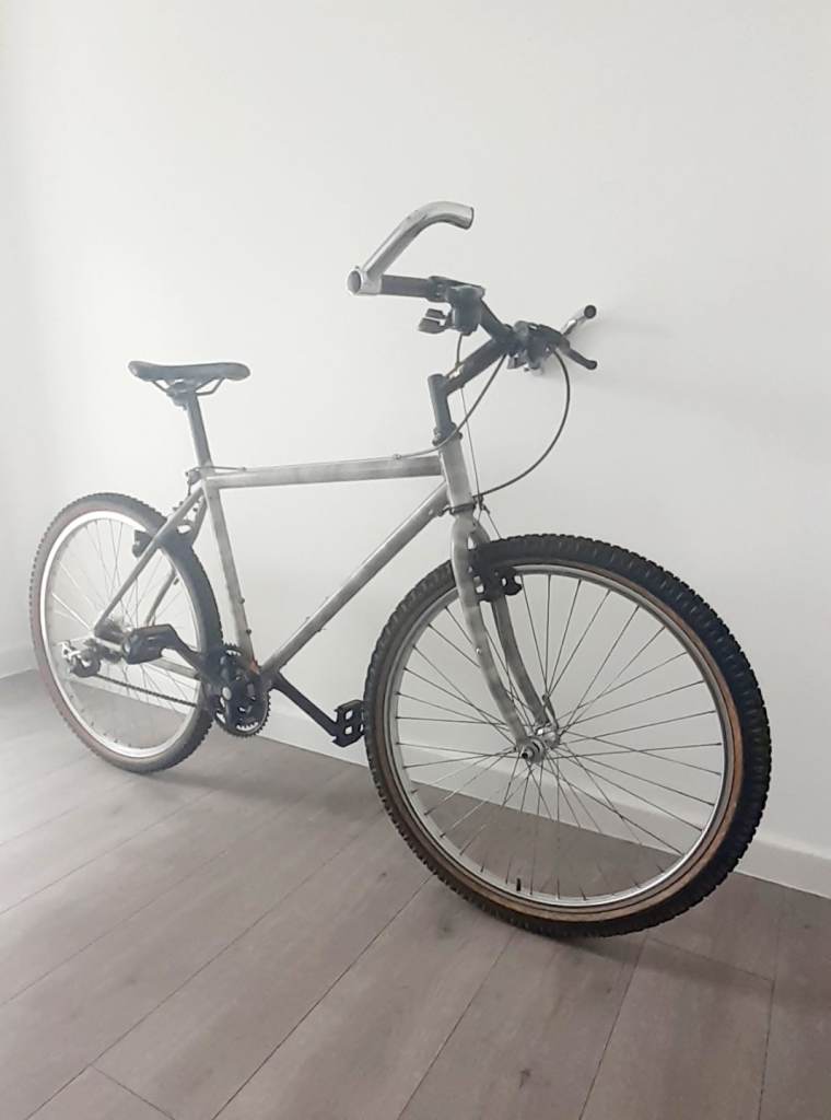 Diamondback Ascent EX Mountain Bike 