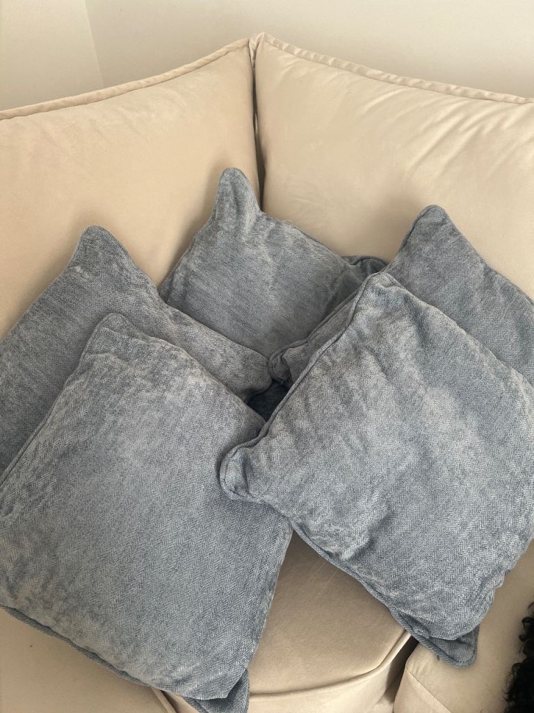 Duck Egg blue Sofa Cushions x 5 