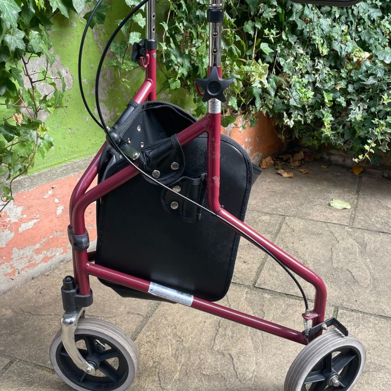 Drive Light Push walker 
