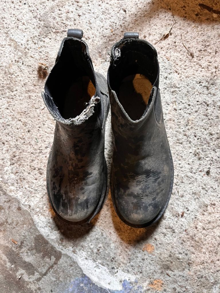 FREE Schuh Boots Size 2