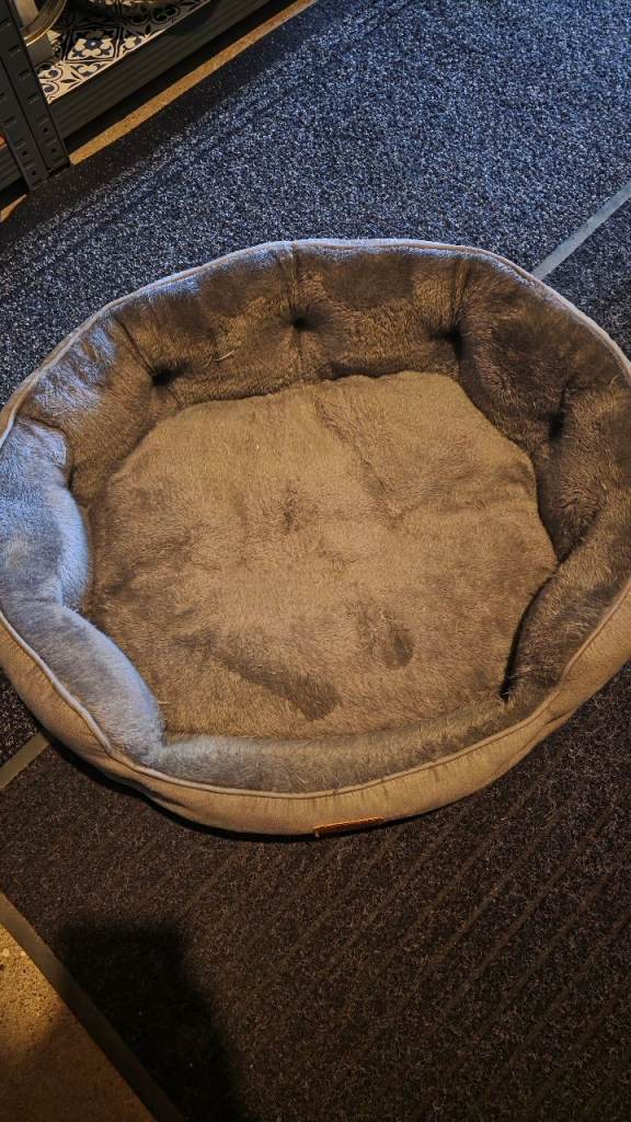 Grey cat bed 
