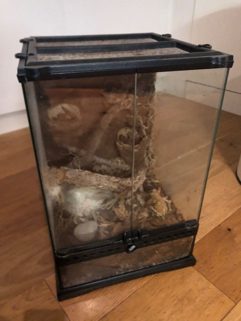 Exoterra 47x30x30 vivarium