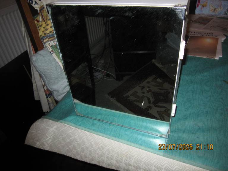 Wall-mounted medicine cabinet