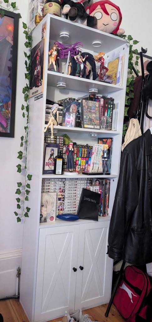 Tall white Bookcase with Storage Cupboard