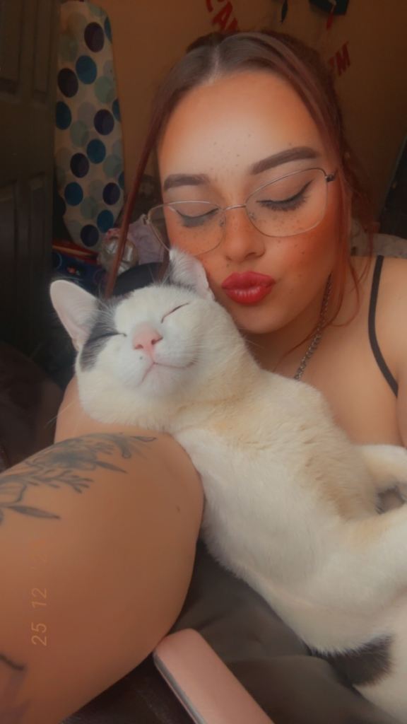 Cats for sale 