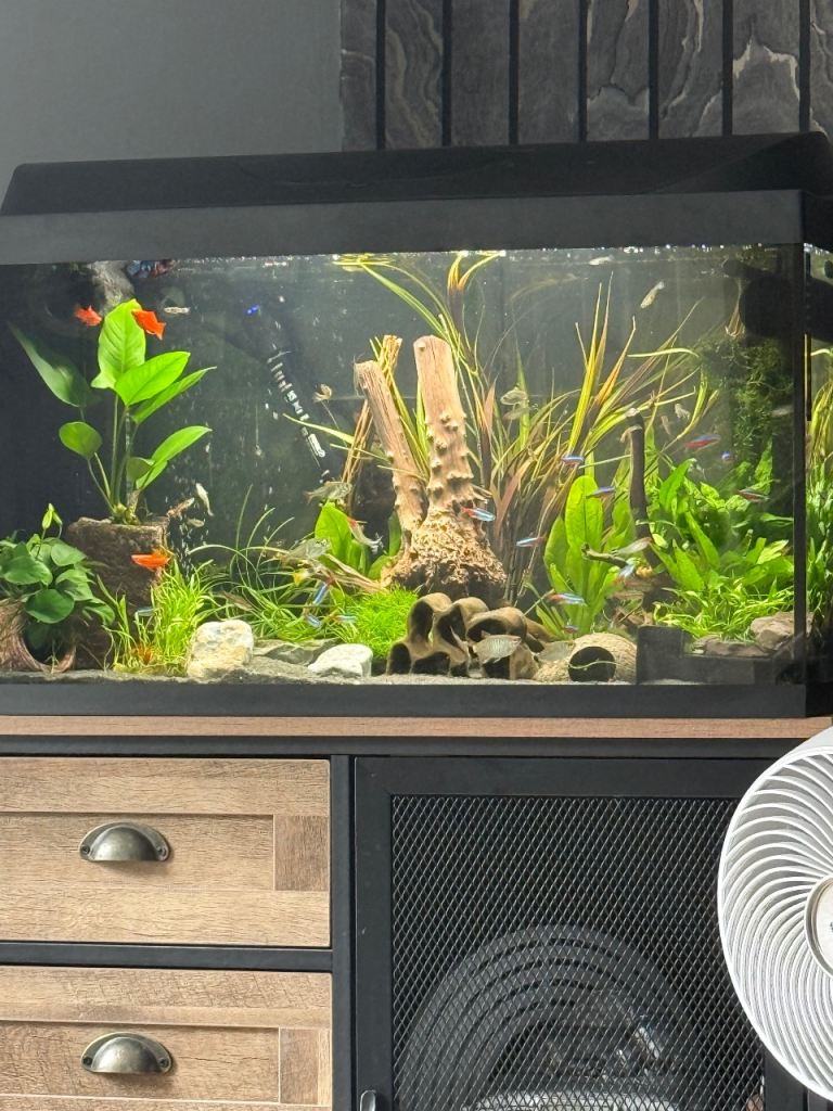 Fish tank/aquarium