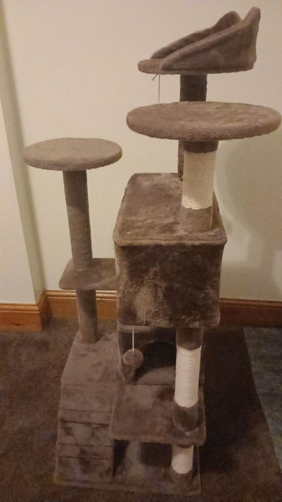 Used Go Pet Club 62-Inch Cat Tree (Brown)