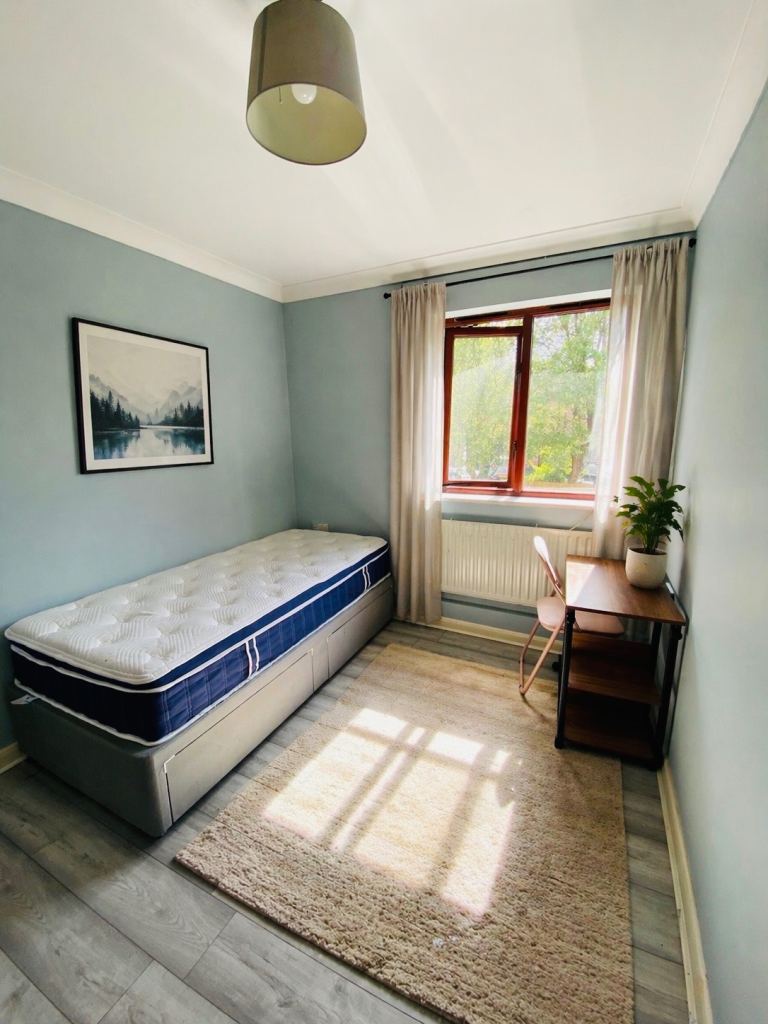 Quiet flatshare close to Richmond Park 