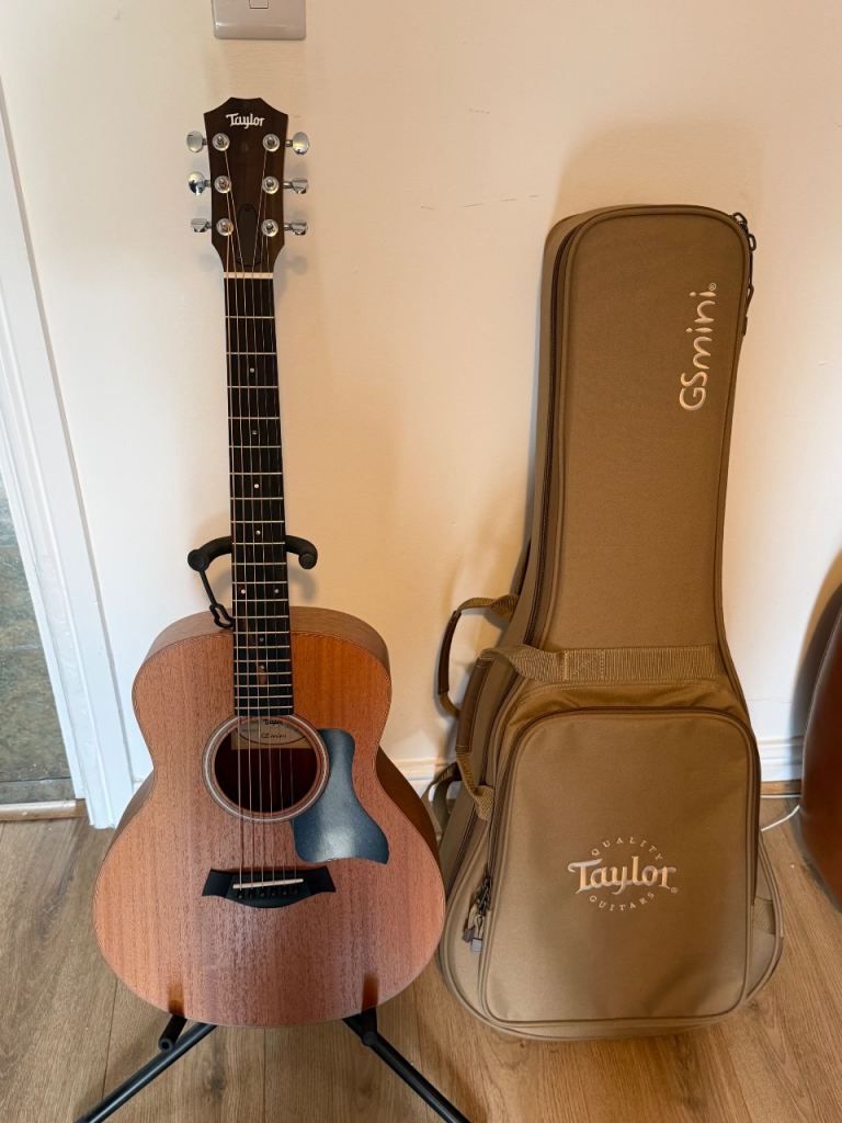 Taylor GS Mini Mahogany & gig bag