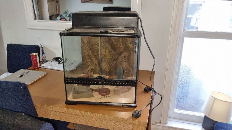 Small exoterra vivarium 