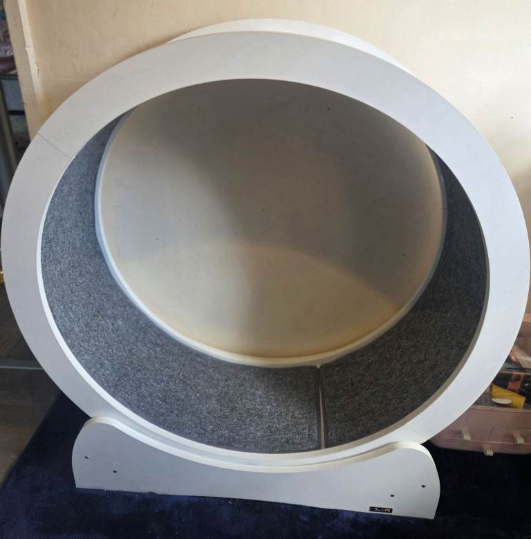 Cat exercise wheel