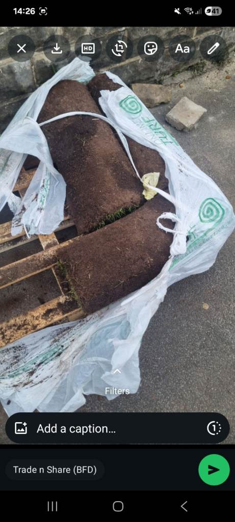 Fresh Garden Turf Rolls – Ready for Laying
