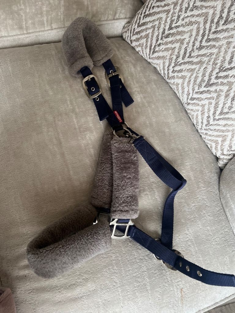 Lemieux head collar 
