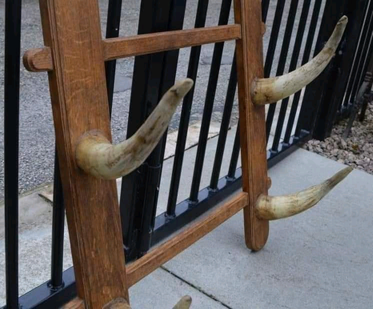 Cow Horn Gun Rack / Coat Hook Taxidermy Highland Cow Buffalo | in ...