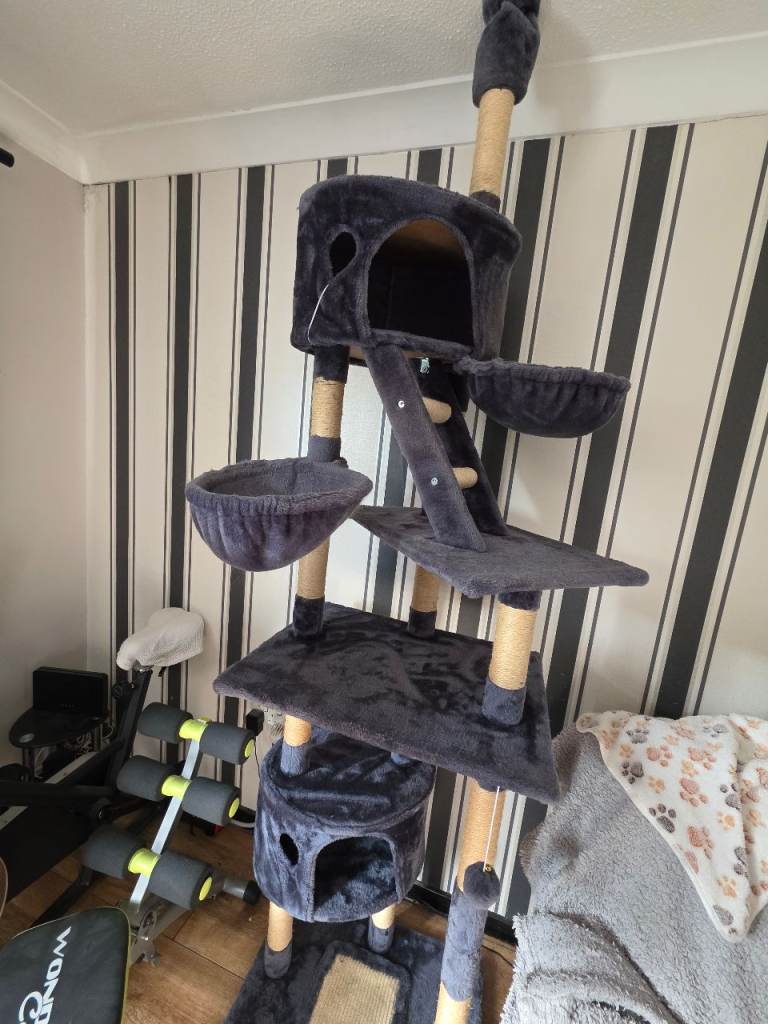 Cat Tree