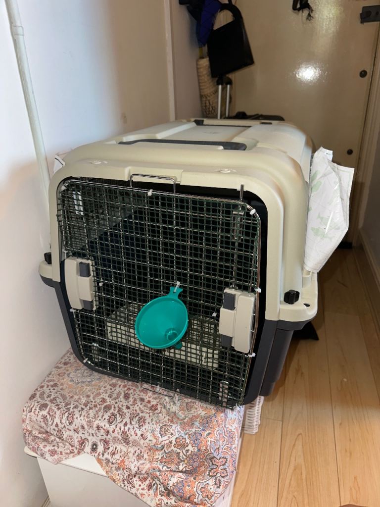 Cat/puppy/small dog carrier for airline hold luggage