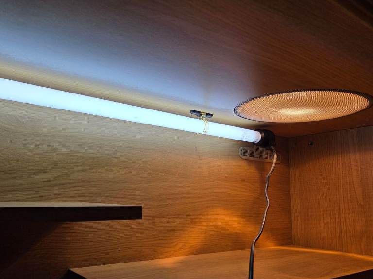 Vivarium and accessories 